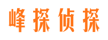 宁江市婚外情调查